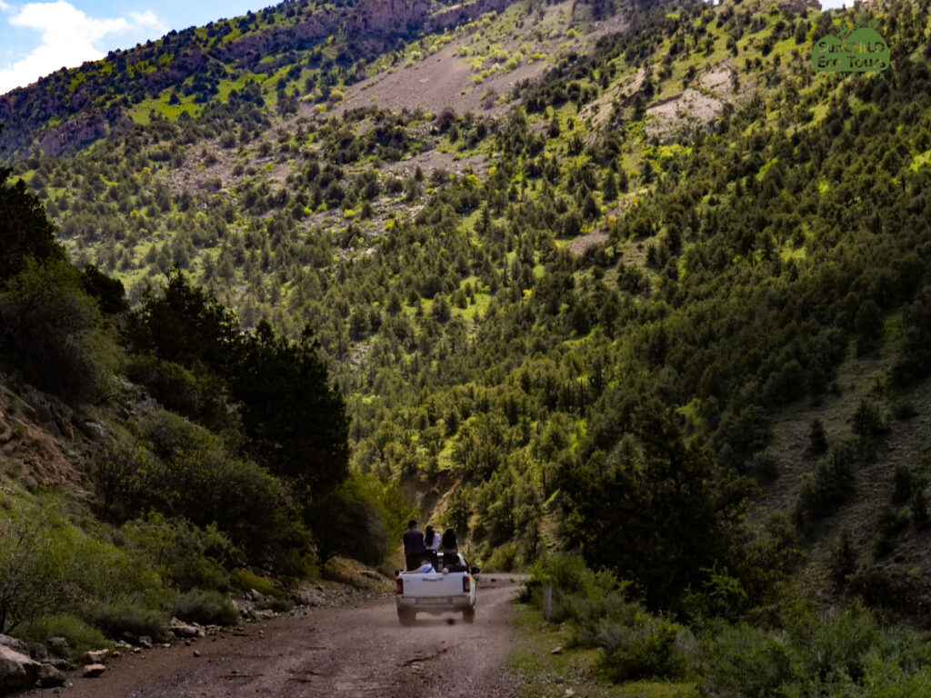 Our 4x4 jeep expedition follows remote mountain tracks, rocky canyons, panoramic viewpoints, and authentic rural landscapes that are inaccessible to regular vehicles.
Route 1 — Surb Karapet Loop
4–5 hours • 55–60 km • Moderate • Max. 3 participants per carTigranashen → Parakhdem → Surb Karapet → Spitak Vank → Tigranashen
Route 2 — Noravank Grand Loop
10 hours • 250 km • Moderate–Difficult • Max. 3 participants per carTigranashen → Noravank → Goghtanik → Tigranashen
Route 3 — Selim / Kapuyt Berd
6–7 hours • 160 km • Moderate • Max. 3 participants per carTigranashen → Hors Gyukh → Kapuyt Berd (Selim) → Tigranashen
Route 4 — Boloraberd / Gnishik
6–7 hours • 130 km • Moderate • Max. 3 participants per carTigranashen → Boloraberd → Gnishik